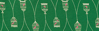 Jerseykleid reitzirkel, birdie birdcage, Kleider, Grün