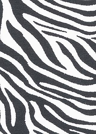 zebra zoo