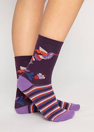 Cotton socks Sensational Steps, hummingbird love, Socks, Purple