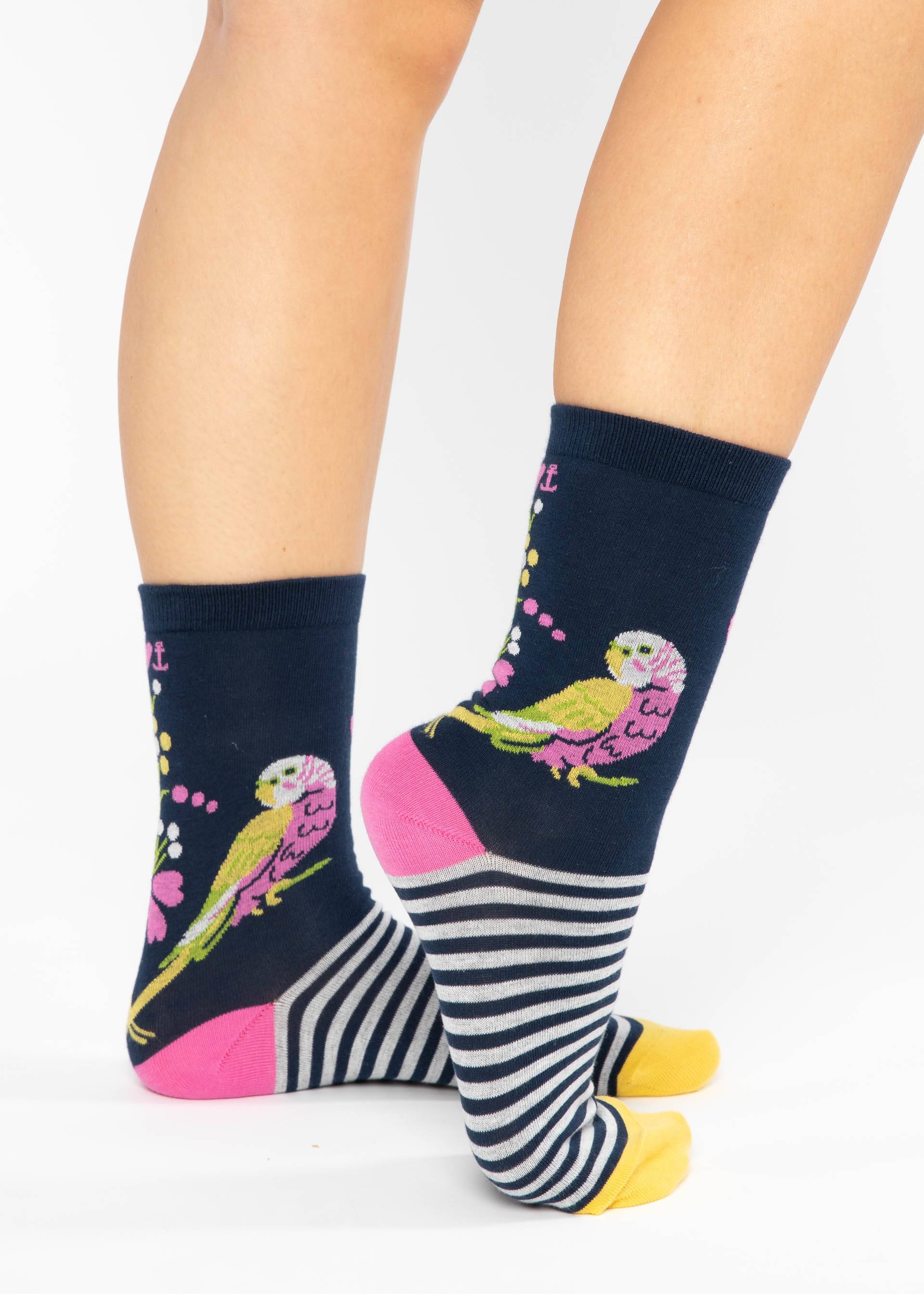 Cotton socks Sensational Steps, budgie buddies sock, Socks, Blue